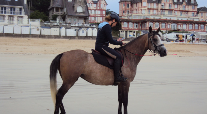 portrait cheval Talia de Bel Air